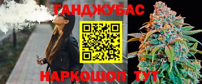 сатива Гай