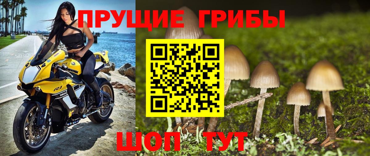 Галлюциногенные грибы Psilocybine cubensis Трёхгорный