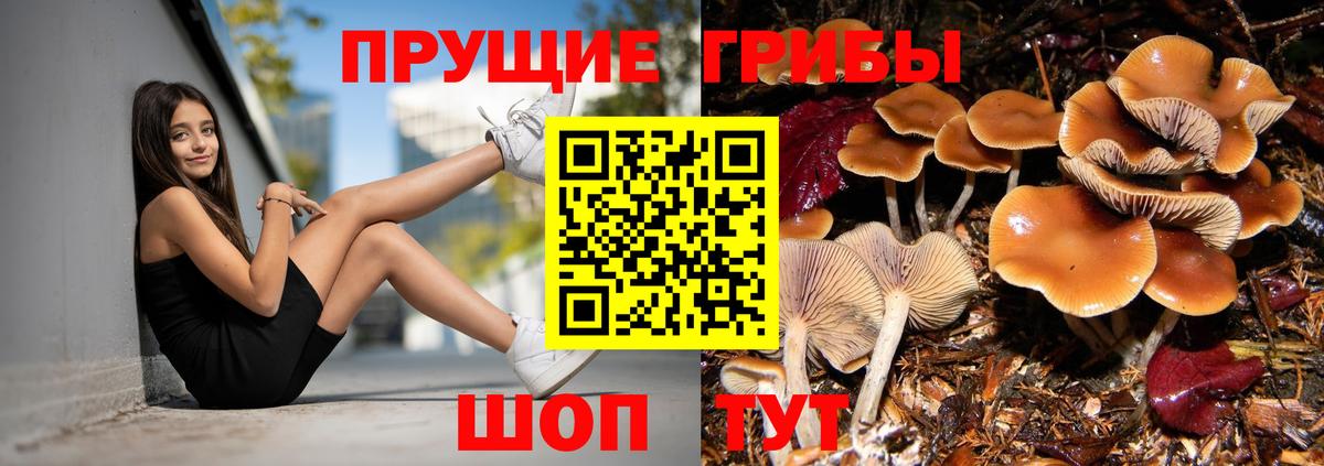 Трёхгорный  Галлюциногенные грибы Cubensis  Вход с VPN 